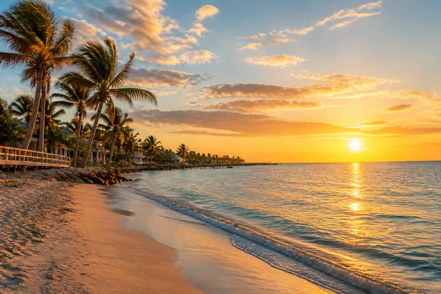 Bonita Springs beach sunset with palm trees and Gulf waters